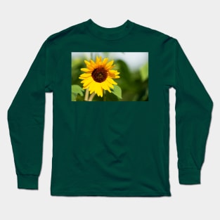 Sunflower close up Long Sleeve T-Shirt